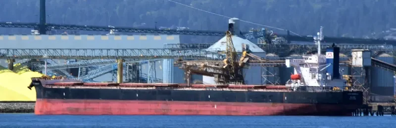 STAR MARIELLA Bulk Carrier IMO 9354868 photo 5