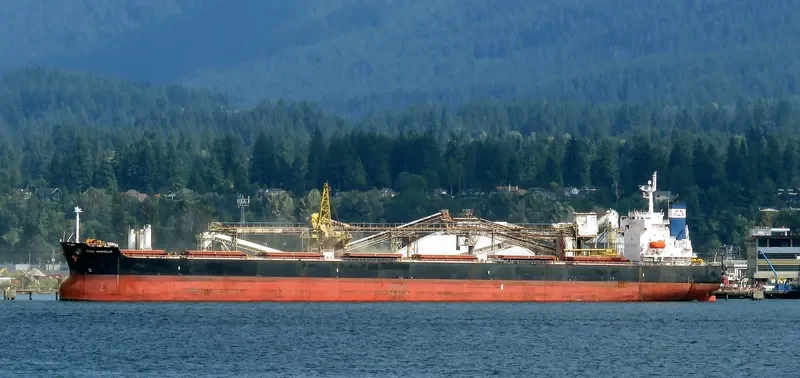STAR MARIELLA Bulk Carrier IMO 9354868 photo 6