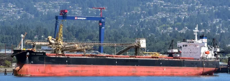 STAR MARIELLA Bulk Carrier IMO 9354868 photo 7