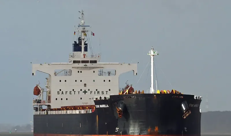 STAR MARIELLA Bulk Carrier IMO 9354868 photo 9