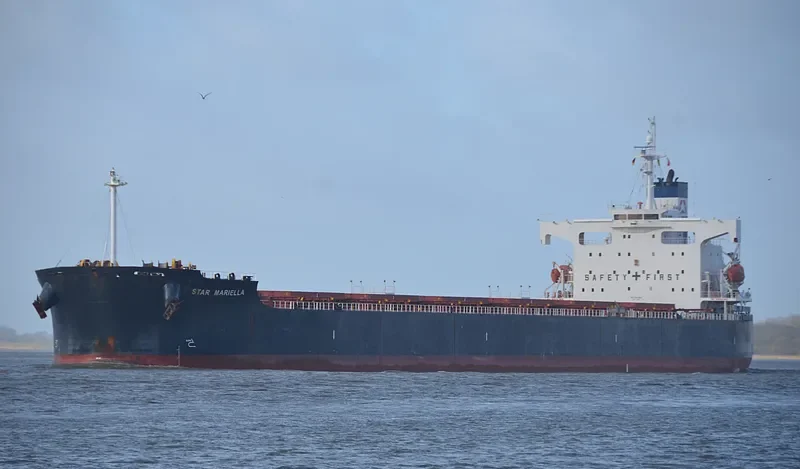 STAR MARIELLA Bulk Carrier IMO 9354868 photo 10