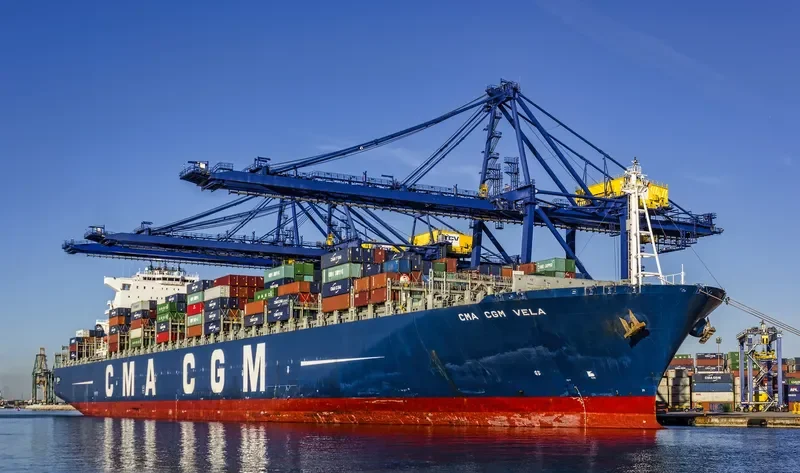 CMA CGM VELA Container Ship IMO 9354923 photo 6