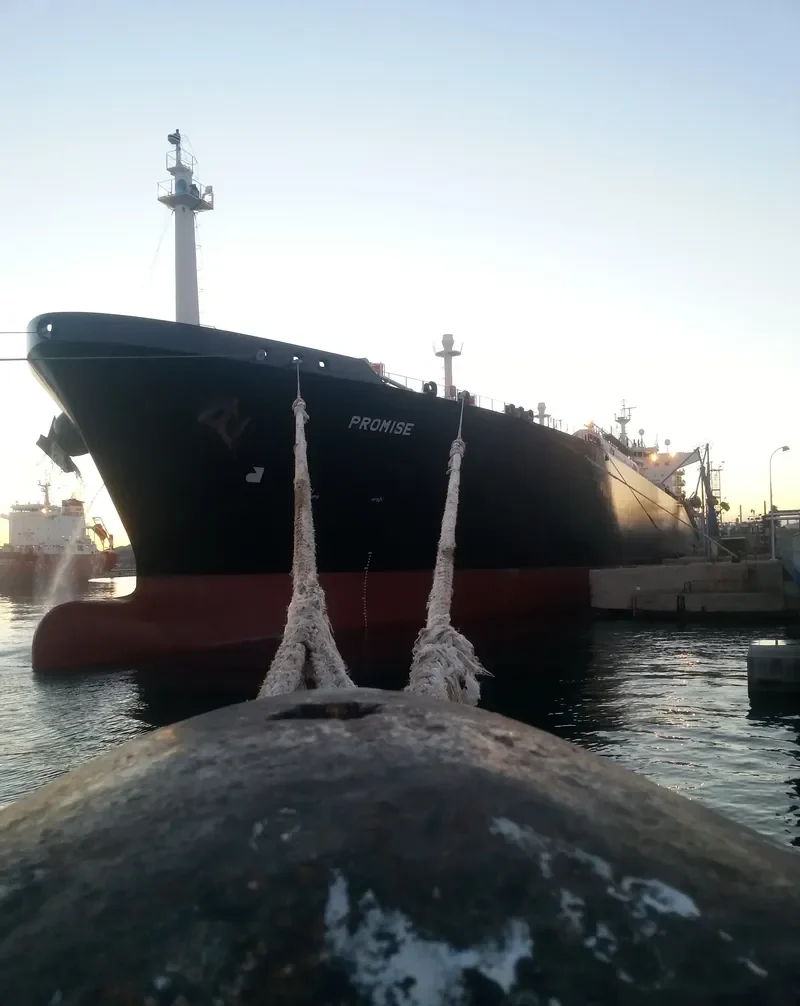 PROMISE General Cargo IMO 9354935 photo 2