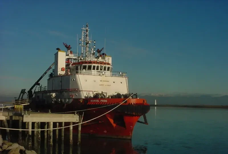 COLLARD TIDE Offshore Vessel IMO 9354961 photo 8