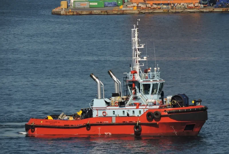 MEGALOCHARI VII General Cargo IMO 9354985 photo 5