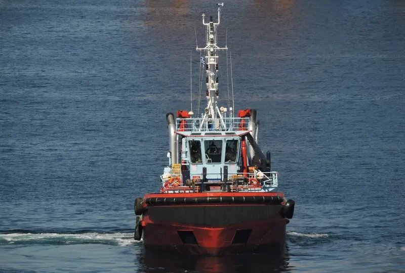 MEGALOCHARI VII General Cargo IMO 9354985 photo 6