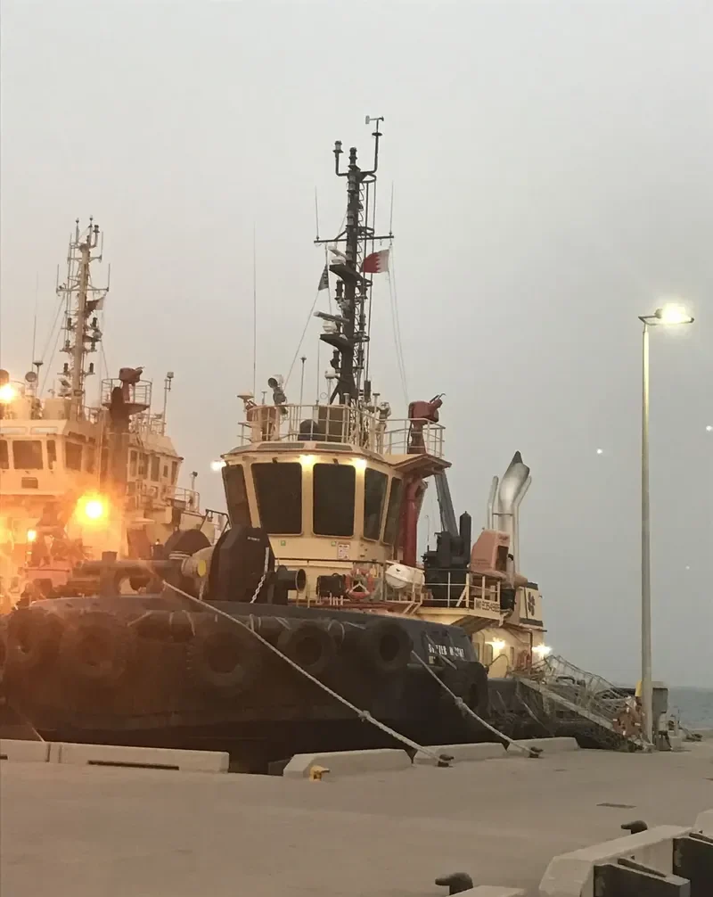 MEGALOCHARI VII General Cargo IMO 9354985 photo 7