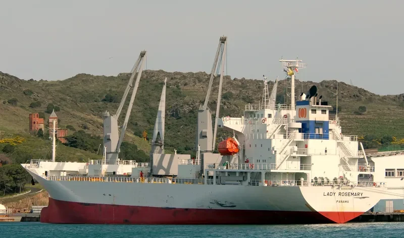 LADY ROSEMARY General Cargo IMO 9355044 photo 8