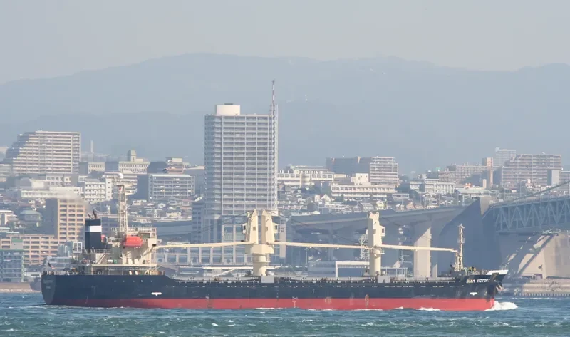 SEA VICTORY Bulk Carrier IMO 9355111 photo 2