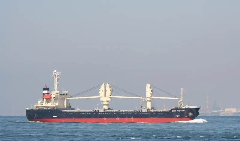 SEA VICTORY Bulk Carrier IMO 9355111 photo 3