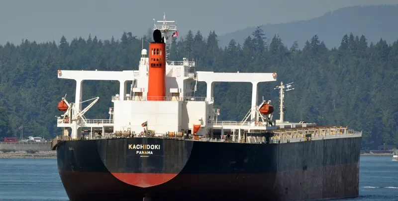KACHIDOKI Bulk Carrier IMO 9355147 photo 3