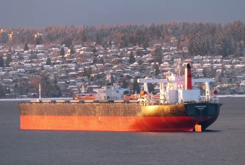 KACHIDOKI Bulk Carrier IMO 9355147 photo 6