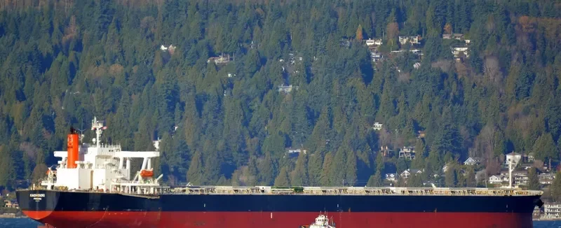 KACHIDOKI Bulk Carrier IMO 9355147 photo 8