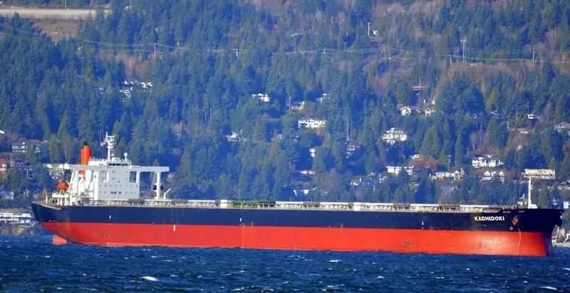 KACHIDOKI Bulk Carrier IMO 9355147 photo 9