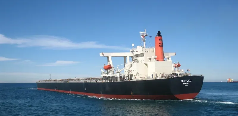 SAMC TRANSPORTER Bulk Carrier IMO 9355159