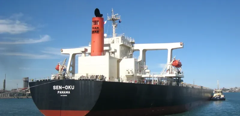 SAMC TRANSPORTER Bulk Carrier IMO 9355159 photo 2