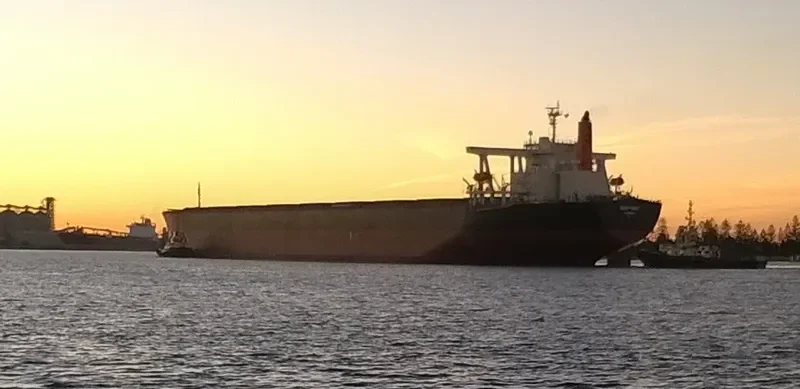SAMC TRANSPORTER Bulk Carrier IMO 9355159 photo 3