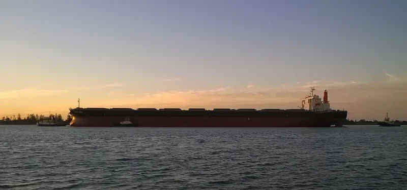 SAMC TRANSPORTER Bulk Carrier IMO 9355159 photo 4