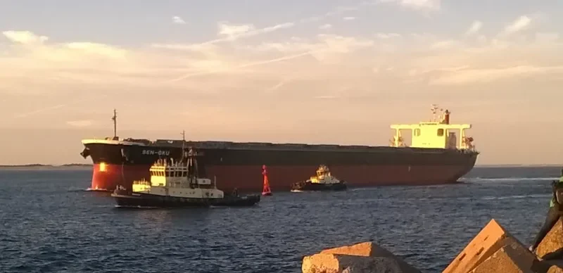 SAMC TRANSPORTER Bulk Carrier IMO 9355159 photo 5