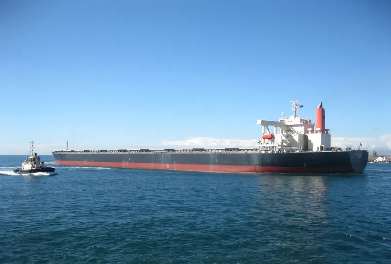 SAMC TRANSPORTER Bulk Carrier IMO 9355159 photo 6