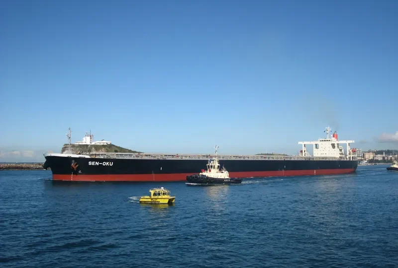 SAMC TRANSPORTER Bulk Carrier IMO 9355159 photo 7