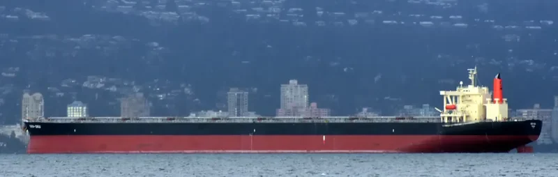 SAMC TRANSPORTER Bulk Carrier IMO 9355159 photo 8