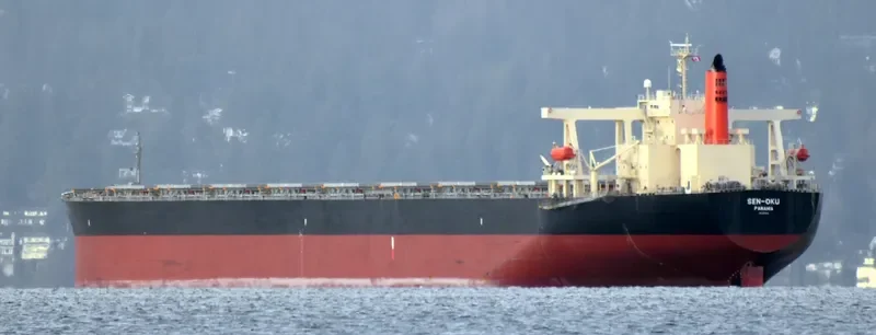 SAMC TRANSPORTER Bulk Carrier IMO 9355159 photo 9