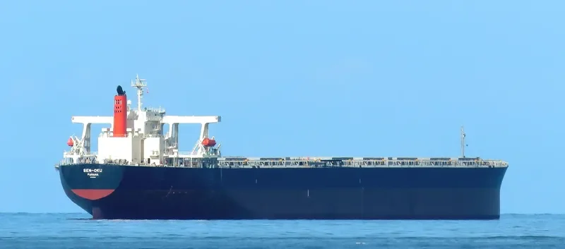 SAMC TRANSPORTER Bulk Carrier IMO 9355159 photo 10