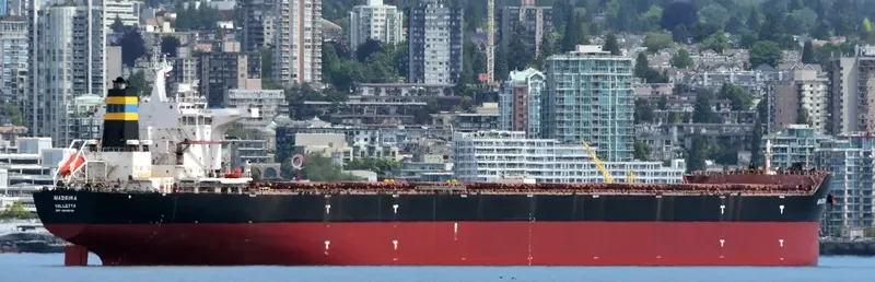 MADEIRA Bulk Carrier IMO 9355161 photo 2