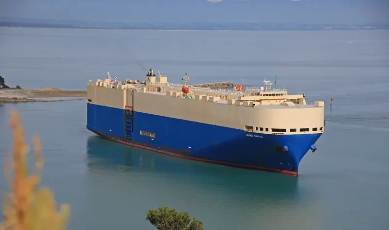 GRAND DAHLIA General Cargo IMO 9355238 photo 3