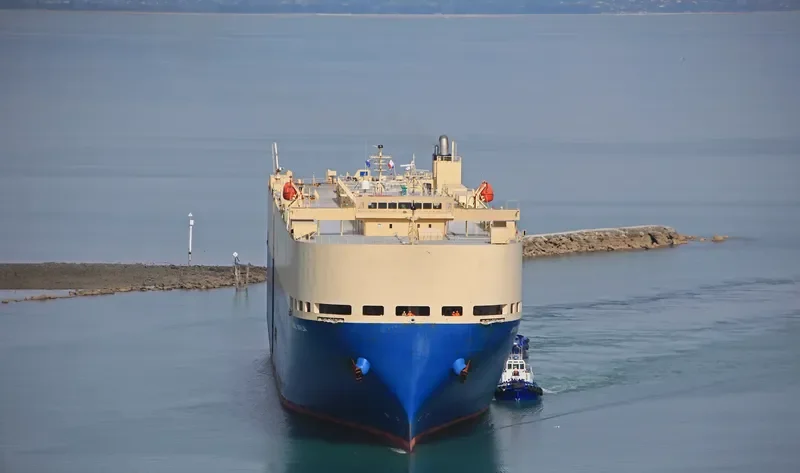 GRAND DAHLIA General Cargo IMO 9355238 photo 4