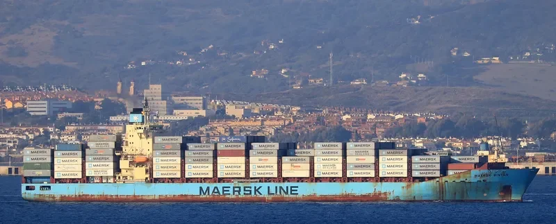 MAERSK BINTAN Container Ship IMO 9355288 photo 2
