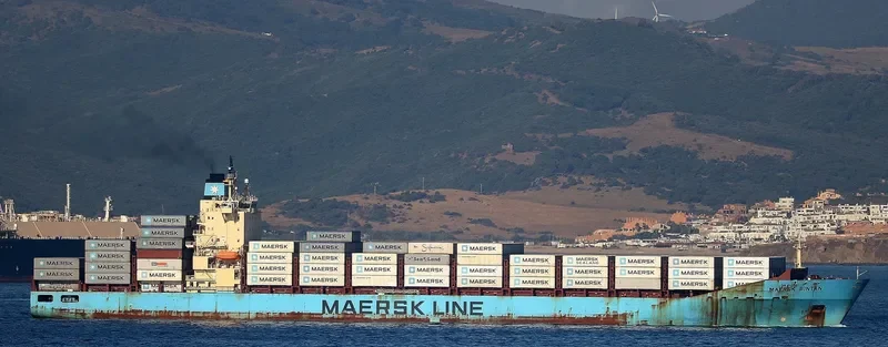 MAERSK BINTAN Container Ship IMO 9355288 photo 3