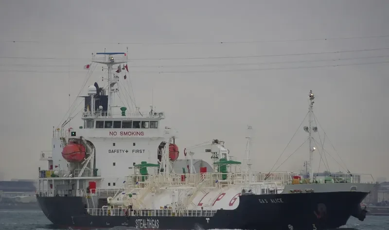 GAS ALICE General Cargo IMO 9355290 photo 10
