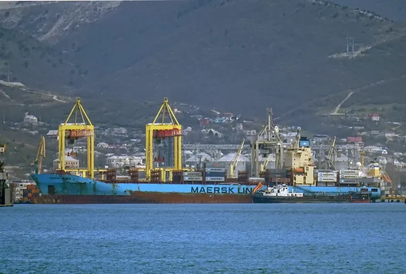 MAERSK BATAM Container Ship IMO 9355331 photo 2