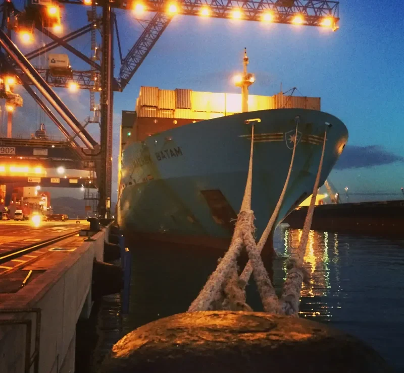 MAERSK BATAM Container Ship IMO 9355331 photo 3