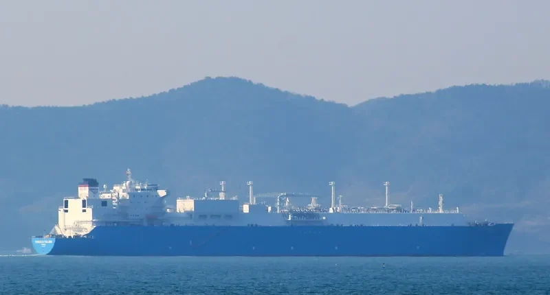 TANGGUH PALUNG General Cargo IMO 9355379 photo 5