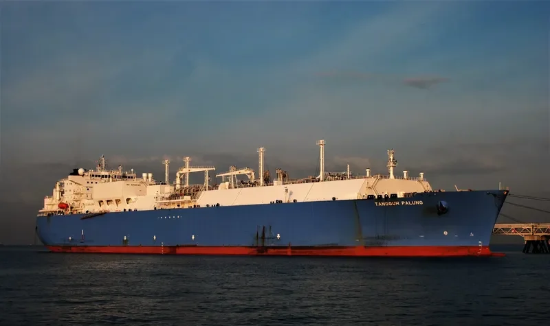 TANGGUH PALUNG General Cargo IMO 9355379 photo 6