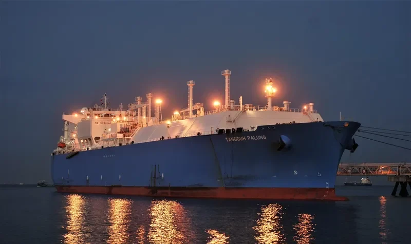 TANGGUH PALUNG General Cargo IMO 9355379 photo 7