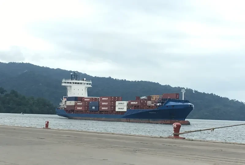 PEGASUS J Container Ship IMO 9355434 photo 2