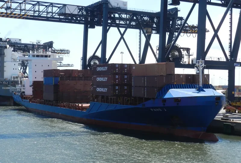 PAVO J Container Ship IMO 9355458 photo 2