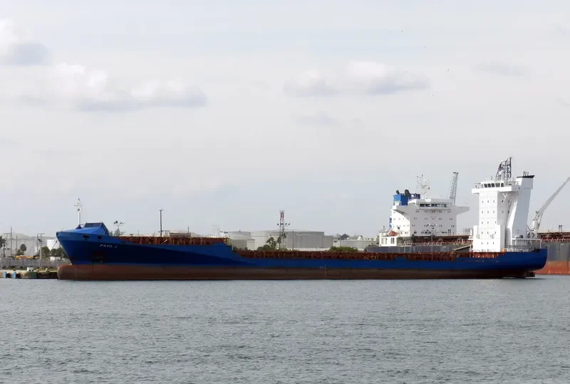 PAVO J Container Ship IMO 9355458 photo 4