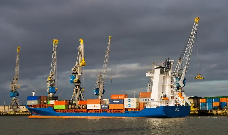 PAVO J Container Ship IMO 9355458 photo 7