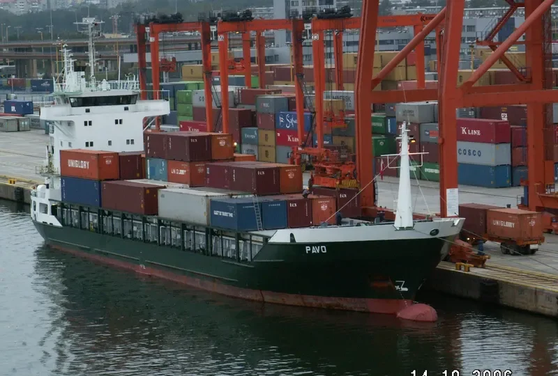 PAVO J Container Ship IMO 9355458 photo 8