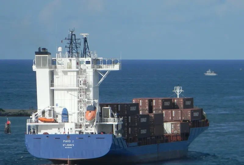 PAVO J Container Ship IMO 9355458 photo 9