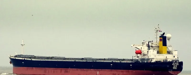 MAHA AARTI Bulk Carrier IMO 9355484 photo 7