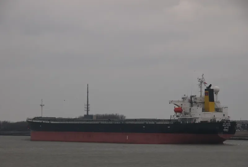 MAHA AARTI Bulk Carrier IMO 9355484 photo 10