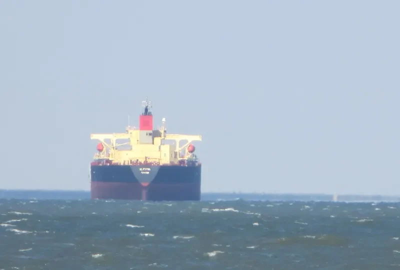 ELETTRA Bulk Carrier IMO 9355496 photo 2