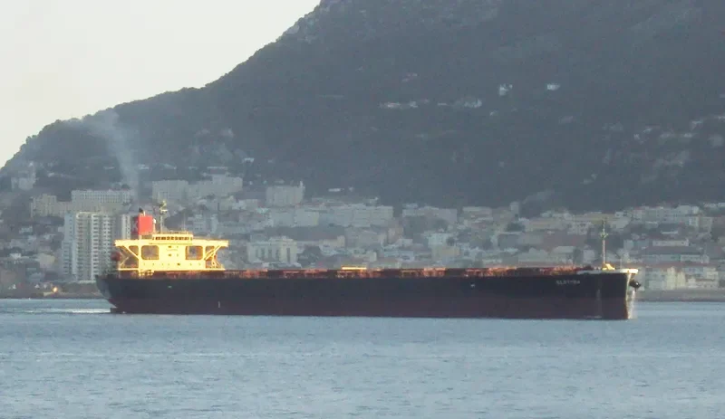 ELETTRA Bulk Carrier IMO 9355496 photo 4
