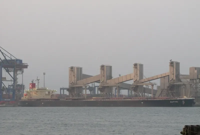 ELETTRA Bulk Carrier IMO 9355496 photo 6
